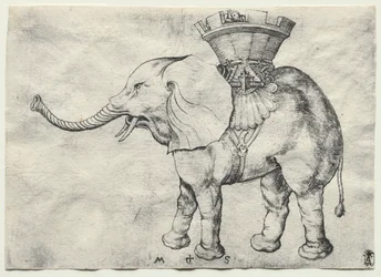 Een Olifant met Howdah