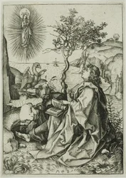 St. Johannes de Evangelist op Patmos