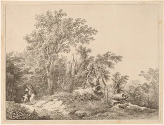 Landschap met gebroken boom
