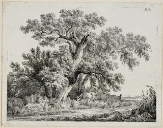 Landschap