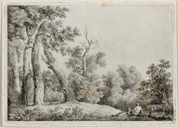 Landschap