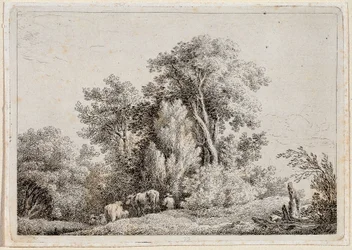 Landschap