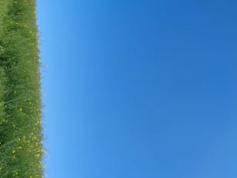 Blauw