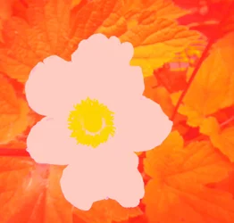 Bloem (Hommage aan Andy Warhol)