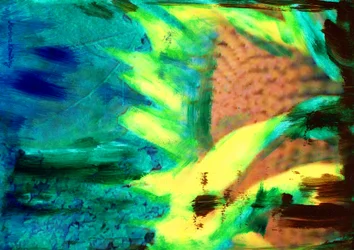 De zonnebloem in de voortuin