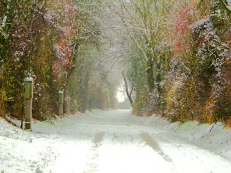 Landweg