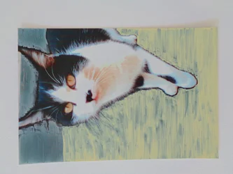 Kat