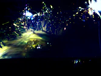 winterlichten