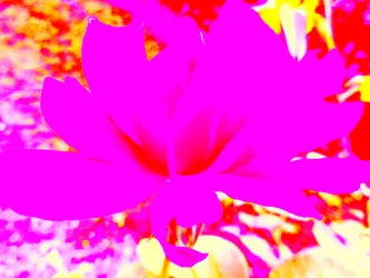 Roos digitale kunst