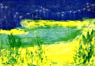 Sterrenhemel boven het meer