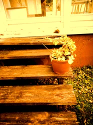 Verandatrap