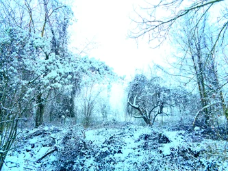Winter Blauw