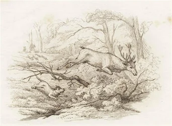 Illustratie voor "Halvhundrede Fabler for Børn" van Hey
