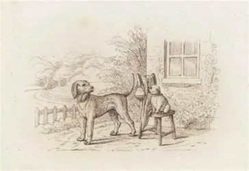 Illustratie voor 