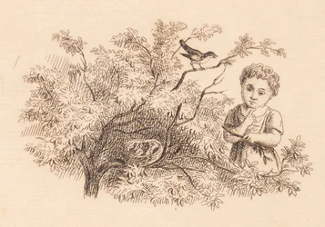Illustratie voor "Halvhundrede Fabler for Børn" door Hey