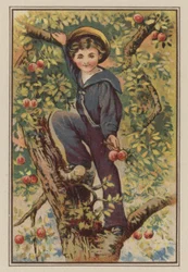 Jongen klimt in appelboom