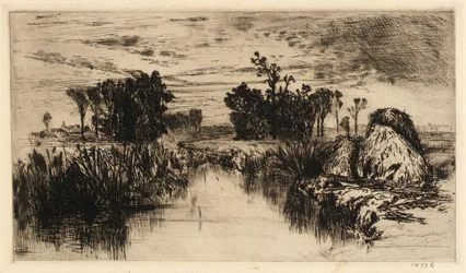Kattestaarten en bomen