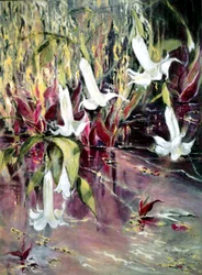 Datura
