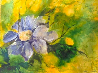 Clematis in de avondzon