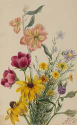 Groep Bloemen, 1881