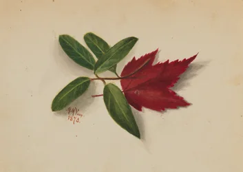 Zonder titel, 1873