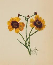 Zonder titel, 1875