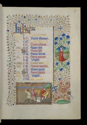 Arbeid van de maand - augustus