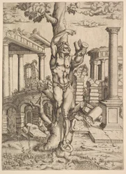 Man Tegen een Boom, ca. 1543-44