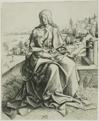 De Madonna bij de fontein