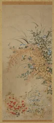 Bloemen en grassen