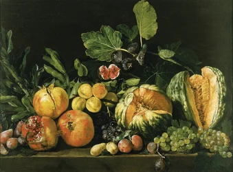 Granaatappels, meloenen, druiven, perziken, vijgen en ander fruit op een stenen richel