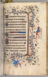 Getijden van Karel de Edele, koning van Navarra (1361-1425): fol. 216r, Tekst