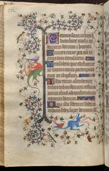 Getijden van Karel de Edele, koning van Navarra (1361-1425): fol. 76v, Tekst