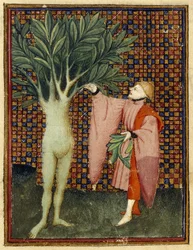 Apollo en Daphne