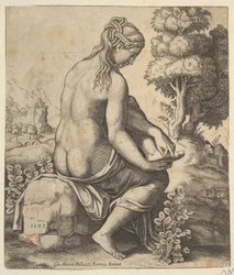 Venus verwijdert een doorn uit haar voet, 1532