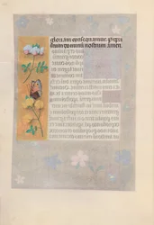 Uren van koningin Isabella de Katholieke, koningin van Spanje: Fol. 174v, ca. 1500