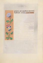 Uren van koningin Isabella de Katholieke, koningin van Spanje: Fol. 196v, c. 1500