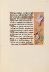 Uren van Koningin Isabella de Katholieke, Koningin van Spanje: Fol. 202r, ca. 1500