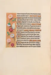 Getijdenboek van koningin Isabella de Katholieke, koningin van Spanje: Fol. 209v, ca. 1500