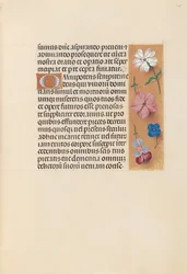 Getijdenboek van koningin Isabella de Katholieke, koningin van Spanje: Fol. 218r, ca. 1500