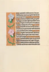 Getijdenboek van koningin Isabella de Katholieke, koningin van Spanje: Fol. 234v, circa 1500