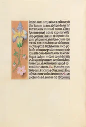 Uren van koningin Isabella de Katholieke, koningin van Spanje: Fol. 237v, ca. 1500