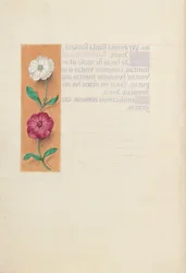 Uren van Koningin Isabella de Katholieke, Koningin van Spanje:  Fol. 23v