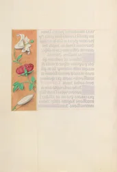 Uren van Koningin Isabella de Katholieke, Koningin van Spanje: Fol. 42v