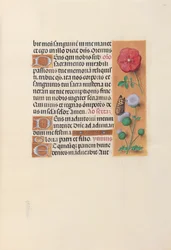 Getijdenboek van koningin Isabella de Katholieke, koningin van Spanje: Fol. 46r