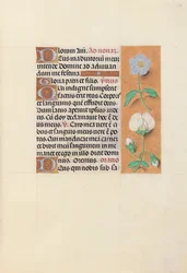 Getijdenboek van koningin Isabella de Katholieke, koningin van Spanje: Fol. 47r, ca. 1500