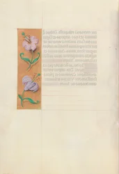 Getijdenboek van Koningin Isabella de Katholieke, Koningin van Spanje: Fol. 49v, ca. 1500