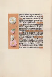 Getijdenboek van Koningin Isabella de Katholieke, Koningin van Spanje: Fol. 58v, ca. 1500