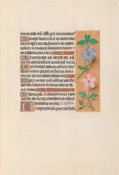 Uren van Koningin Isabella de Katholieke, Koningin van Spanje: Fol. 62r, ca. 1500