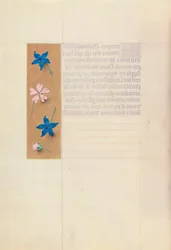 Getijdenboek van Koningin Isabella de Katholieke, Koningin van Spanje: Fol. 65v, ca. 1500